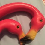 Donald And Nancy Featherstone - @donaldandnancyflamingo - Instagram