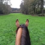 Donald Featherstone - @donaldfeatherstone - Instagram