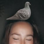 Donald Featherstone - @trashydani13 - Instagram