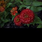 @donald_fields - Instagram