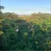 Donald Gabel - Facebook