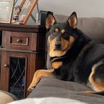 Gage Donalds - @gage_donalds - Instagram