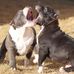 Donald Gaines - Facebook