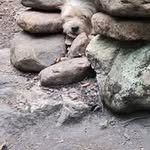 Donald Gammon - @gammon_donald - Instagram