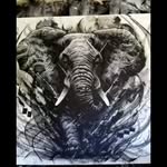Donald Ganss - @donaldganss - Instagram