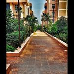Donald S. Gladden - @dtmggladden - Instagram