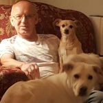 Donald Goetz - @goetzdonald - Instagram