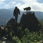 Donald Grady - @donaldgrady1847 - Instagram