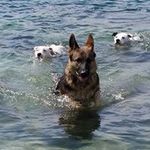 Donald Griswold - @donald.griswold - Instagram