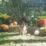 Donald Griswold - @donalldgriswold - Instagram