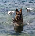 Donald Griswold - Facebook
