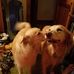 Donald Griswold - Facebook