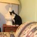 Donald Groff - Facebook