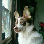 Donald J Gross - @djdonn2k - Instagram