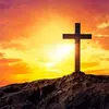 donaldschristiangroup - @donaldschristiangroup - TikTok