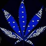 Donald Groves Jr. - @grovesjr.donald - Instagram