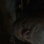 Donald E Guidry - @donaldguidry4 - Instagram