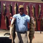 Donald Gustafson - @gustafsondonald - Instagram