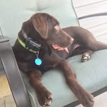 Donald Gustafson - @donald.gustafson.5 - Instagram