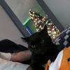 Donald Gustafson - @donald.gustafson - TikTok