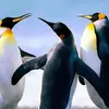 donaldhaddock2 - @donaldhaddock2 - TikTok