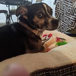 Donald Hatch - @donald.hatch.3998 - Instagram