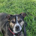Donald Hatch - @donald.hatch.543 - Instagram