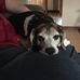 Donald Heflin - Facebook
