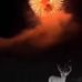Donald Heflin - Facebook