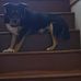 Donald Helman - Facebook