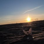 Donald Herron - @livicngwali6 - Instagram