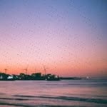Cheyenne Strauch - @donald.hipp - Instagram