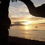 Donald Hipple - @hippledonald - Instagram