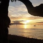 Donald Hipple - @hippledonald - Instagram