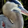Donald Holman - @donald.holman8 - TikTok