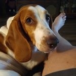 Donald Holman - @donaldholman7 - Instagram