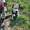 Donald Howson - @donald.howson - TikTok