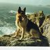 Donald Hoyle - Facebook