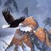 Donald Hullinger - Facebook