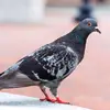 donaldbinman - @donaldbinman4 - TikTok