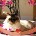 Donald Irwin - Facebook