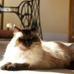 Donald Irwin - @irwindonald - Instagram