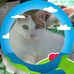 Donald Jiang - Facebook