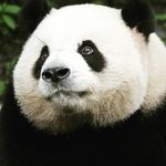 Jiang Donald - @jiang.donald.39 - Instagram