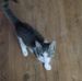Donald Jinks - Facebook