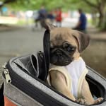 Donald John - @donaldjohn890 - Instagram