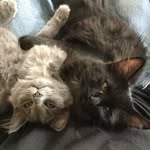 Donald John Herbert - @luna4isis - Instagram