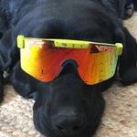 Donald johnsrud - @donaldjohnsrud - Instagram