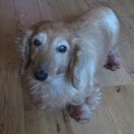 Donald Johnstone - @donaldjohnstone404 - Instagram