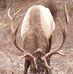 Donald Justus - Facebook